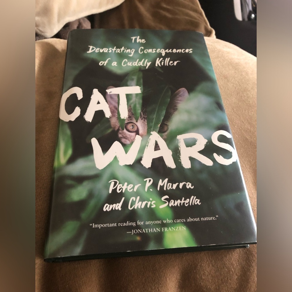 Cat Wars Hardback Book - 841 $12 or 🎉